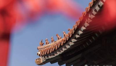 這兩天，我去了山東一個(gè)地方  