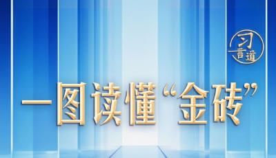 【眾行致遠(yuǎn)】習(xí)言道｜一圖讀懂“金磚”從何而來