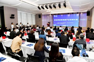 微短剧产业站上新风口 青岛市北区加速打造微短剧产业新城