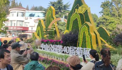 青島市第40屆中山公園菊展開幕了