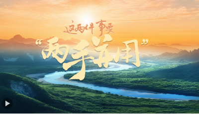 一見·“這兩件事要‘兩手并用’”