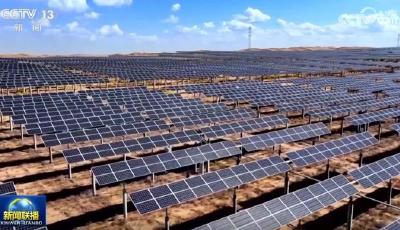 【新思想引领新征程】共植新绿 建设美丽中国