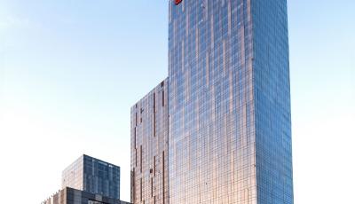 青島農商銀行深耕金融“五篇大文章” 繪就金融發展新藍圖