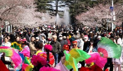 清明出游哪些地方受青睐？山东重点监测景区游客同比增长12.9%