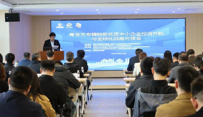 资本赋能产业升级! 青岛专精特新企业开启全球并购新征程 