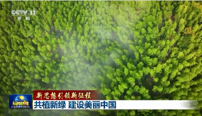 【新思想引领新征程】共植新绿 建设美丽中国