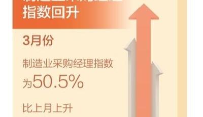 四项数据看开局