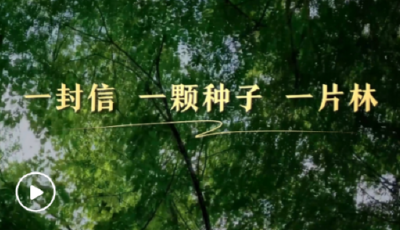 第一视点丨一封信 一颗种子 一片林