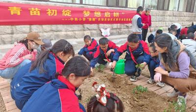 中韩小学开办“博雅农场”  开启劳动实践教育新篇章