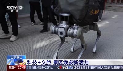 爬泰山也能开“外挂” 这些出圈的登山神器“泰”先进了