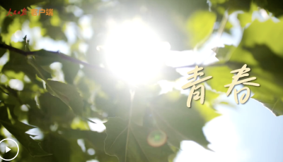 閃耀的青春