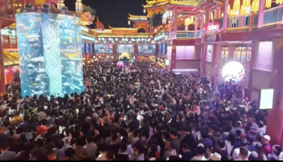 近7億！2025年出入境人次創(chuàng)歷史新高