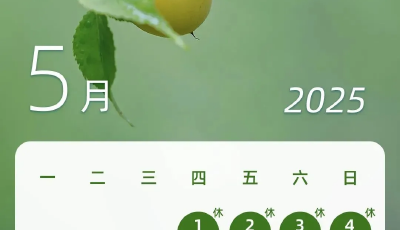 端午假期連休3天不調(diào)休 高速不免費→