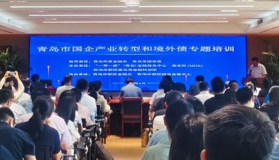 深化與MOX澳交所交流合作 青島市國(guó)企產(chǎn)業(yè)轉(zhuǎn)型及境外債專題培訓(xùn)舉辦