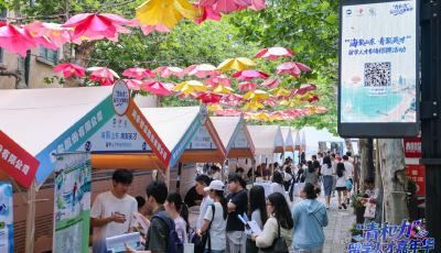 五個首創！首屆“青和力”留學人才嘉年華點亮逐夢舞臺
