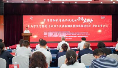 学习贯彻民营经济促进法 青岛多维实招护航民企扬帆远航