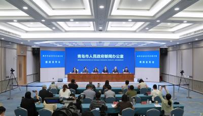 “数字青岛2.0”收官攻坚 青岛今年重点推进54项任务