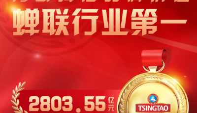 2803.55億元！青島啤酒蟬聯中國啤酒品牌榜首