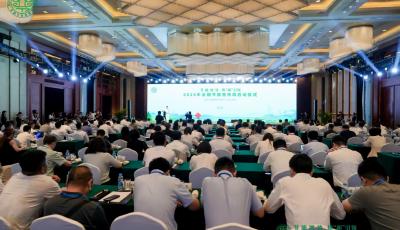 2025年全国节能宣传周在青岛启动：企业承诺、骑行减免等活动共促节能降碳