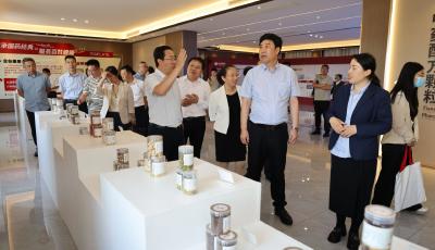 总投资379亿元！青岛市14个小城镇26个重点项目正式推介