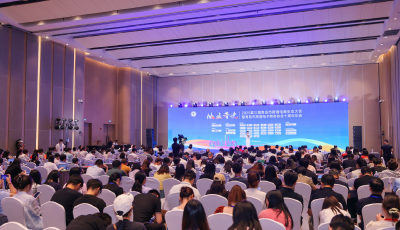 加速“青品出海”，青岛市跨境电子商务协会举办十周年年会