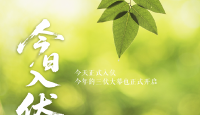 今日入伏