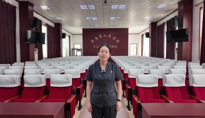 金夢(mèng)欣《草民抗戰(zhàn)“二喬”傳奇》