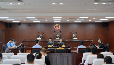 市北区法检“两长”同庭履职 青岛首例骗取生育津贴案当庭宣判