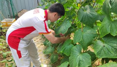 青島市社會(huì)福利院“播種希望?幸福家園”愛心菜園結(jié)碩果
