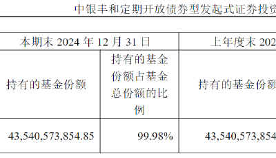 中銀基金代董事長上任滿月 清盤潮壓力有增無減