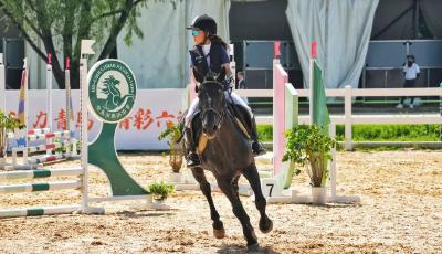 青島市第六屆運動會青少年組馬術比賽開賽