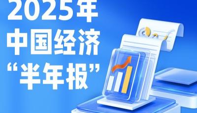 11組數(shù)據(jù)看中國經(jīng)濟(jì)上半年成績單