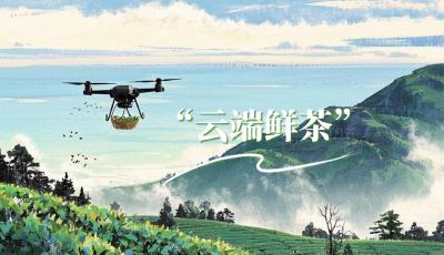 鮮茶葉打“飛的”從茶園到車間僅需2分鐘！青島地鐵為茶農(nóng)開(kāi)辟“空中快線”