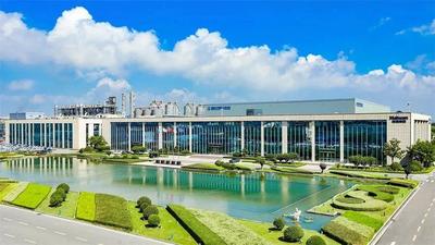 青岛品牌日观察｜“品质海湾”是怎样炼成的