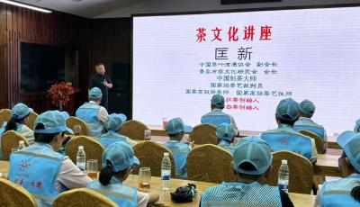 曉陽春相伴 以愛為帆 心的光明公益攜孤困兒童共赴研學逐夢之旅