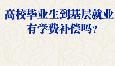 高校畢業生到基層就業，有學費補償嗎？人社部回應