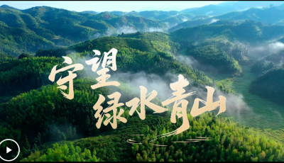 微視頻｜守望綠水青山