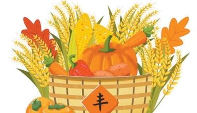 丰收节为何选在秋分日（文化中国行·二十四节气二十四问）