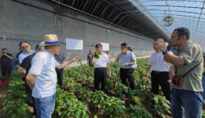 青岛市举办生态农业绿色高效生产技术集成与示范现场观摩活动