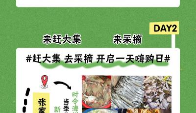 8天不重樣！國(guó)慶黃金周玩轉(zhuǎn)西海岸新區(qū)張家樓