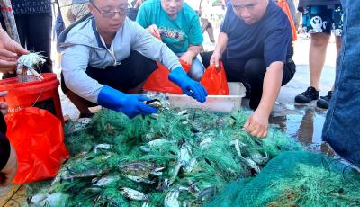 “開海第一鮮”到貨！漁港碼頭沸騰了