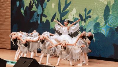 青岛市首届观鸟季活动举行，共绘人鸟和谐生态画卷