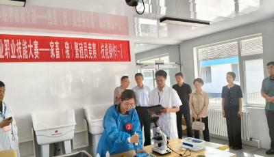 青島市2025年家畜（豬）繁殖員職業技能競賽落幕