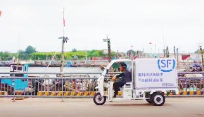 青岛开海季：顺丰升级 “最先一公里” 冷链体系 助力海鲜全国鲜达