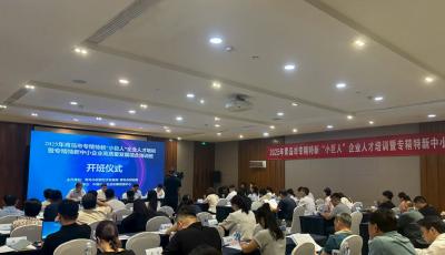 青島市舉辦2025年青島市專精特新中小企業高質量發展綜合培訓班