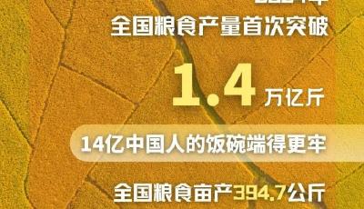 数读中国｜6个维度透视丰收节里“三农”新变化  
