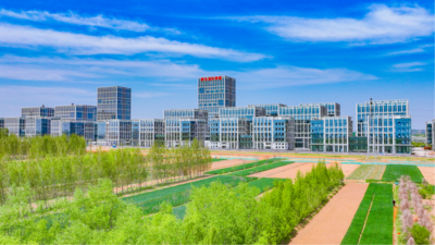 三大种业盛会缘何花落西海岸  四看新区现代种业发展“芯”动能