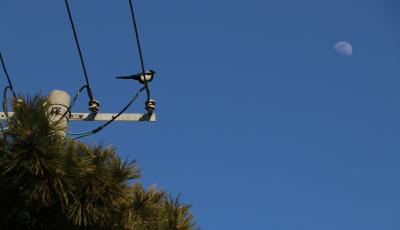 全國月全食觀賞地圖來了 你家能否看到“紅月亮”？