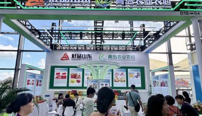青岛展团精彩亮相第22届中国—东盟博览会
