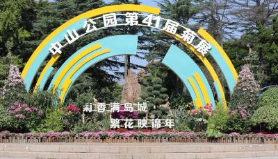 菊花艺术盛宴来袭，青岛市第41届中山公园菊展18日启幕